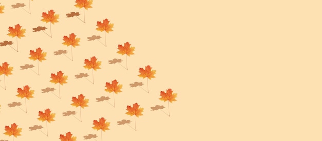 Pattern autumn maple leaf orange-red on orange background in banner format with copy space