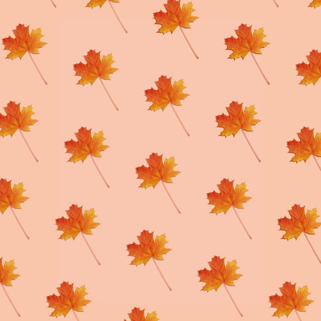 Pattern autumn maple leaf orange-red on orange background