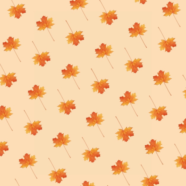 Pattern autumn maple leaf orange-red on orange background