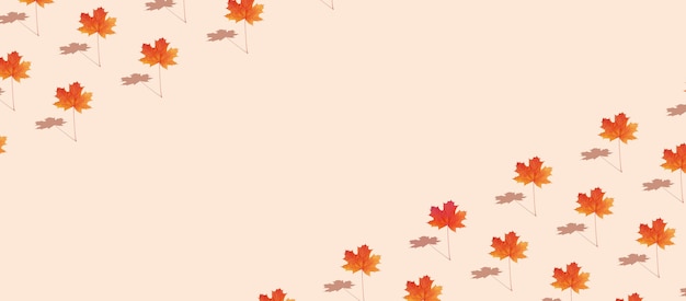 Photo pattern autumn maple leaf orange-red on white background in banner format with copy space