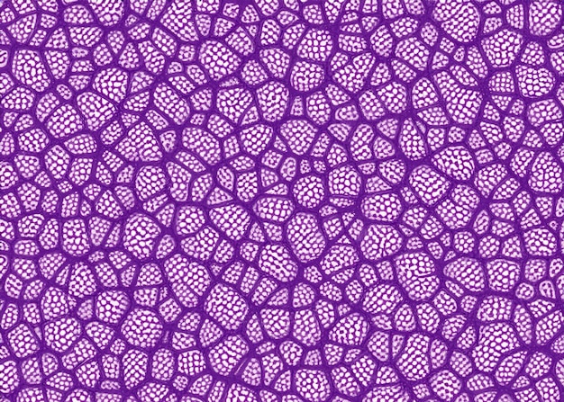 Pattern Background