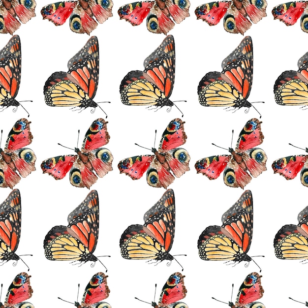 Photo pattern of butterfly fire watercolor on isolated white background hand drawn