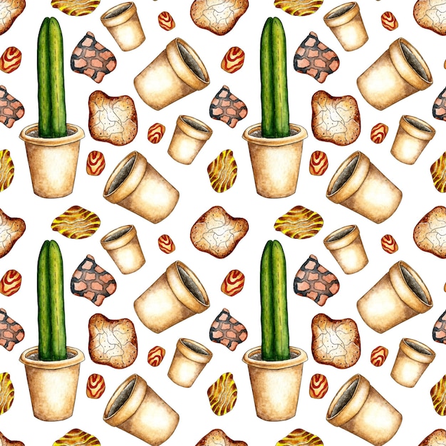 Pattern cactus pots and stones watercolor