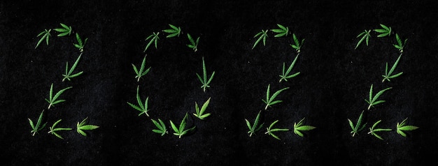 Photo pattern of cannabis leaves in the form of numbers 2021 on a dark background