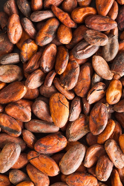 pattern of the cocoa beans background, top view