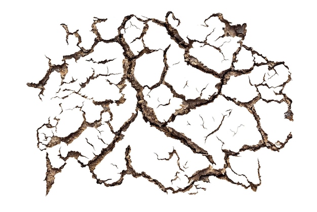 Photo pattern of cracked soil