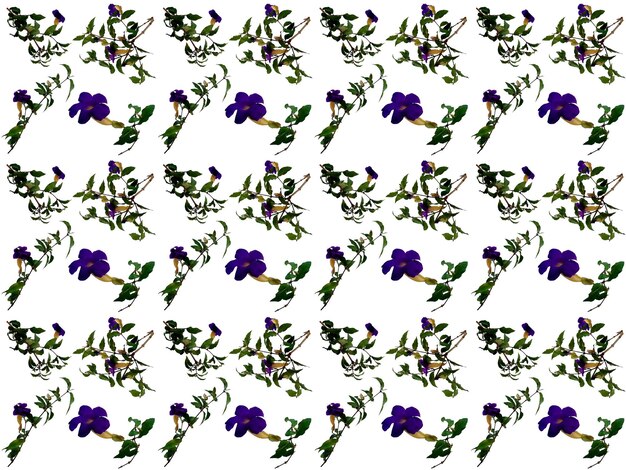 Pattern Flowers background