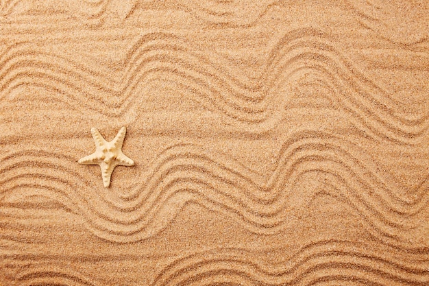 浜辺の砂の上の波の形の模様