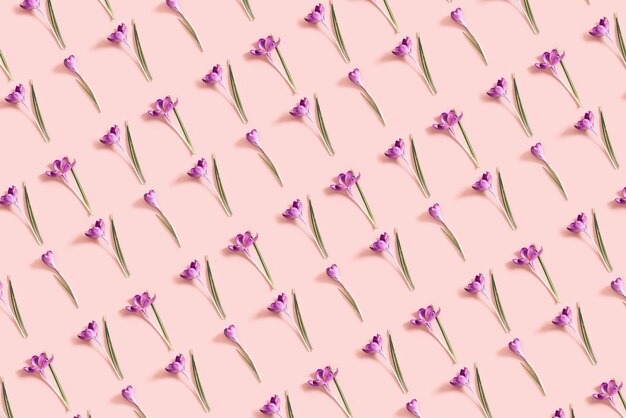 Pattern from crocus flowers