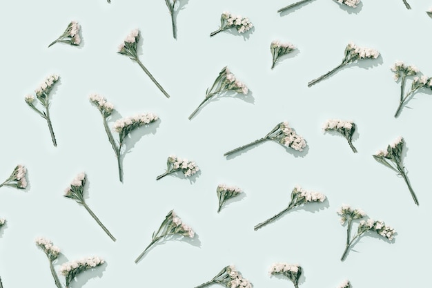 Photo pattern from natural dry flowers