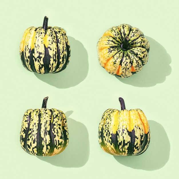 Photo pattern from striped pumpkin with hard shadows