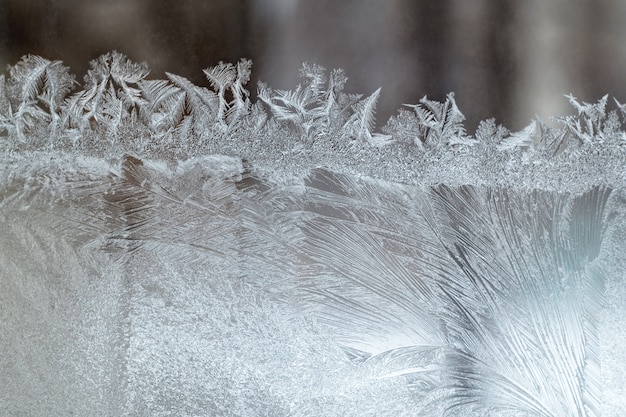 Foto motivo sulla finestra invernale smerigliata