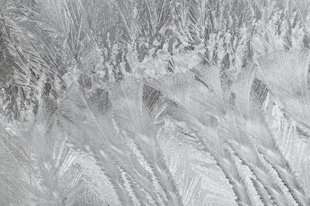 Pattern on the frosted winter window