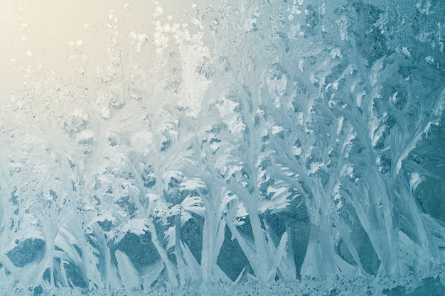 Pattern on the frosted winter window