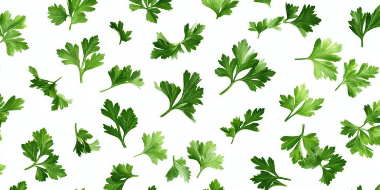 A pattern of green parsley leaves scattered on a white background