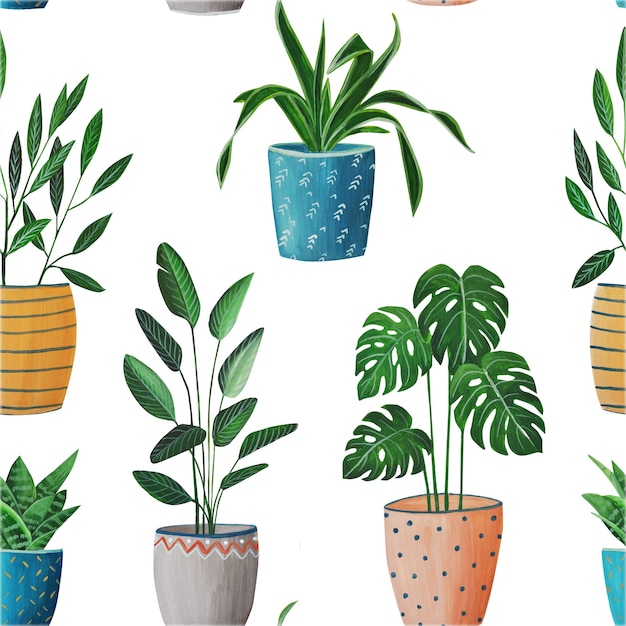 pattern, house flowers in pots, hand-painted with gouache, emitting oil painting, monstera, cactus, tropical plant