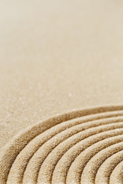 Motivo nel giardino zen giapponese con cerchi concentrici ravvicinati sulla sabbia per la meditazione