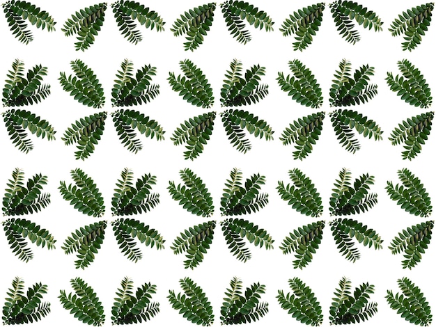 Pattern Leaf background