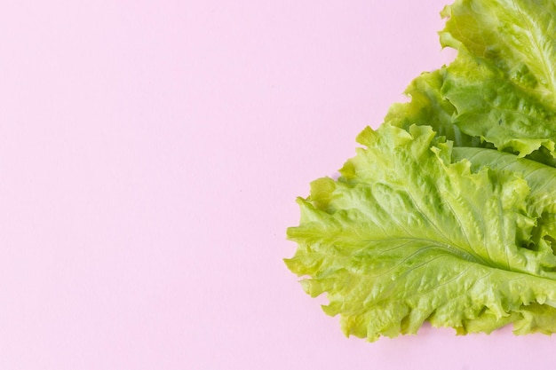 Pattern of lettuce leaves on pink background