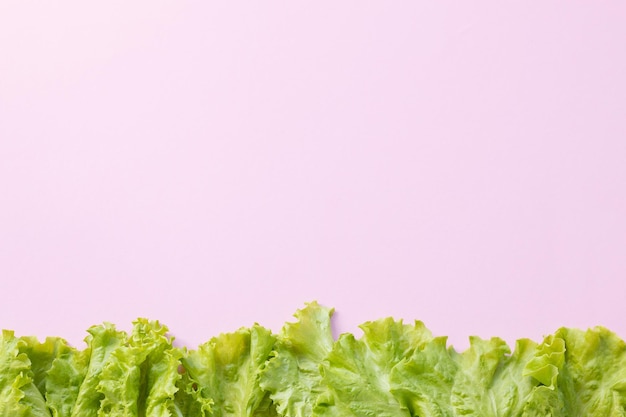 Photo pattern of lettuce leaves on pink background