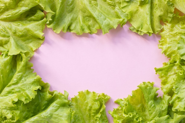 Pattern of lettuce leaves on pink background