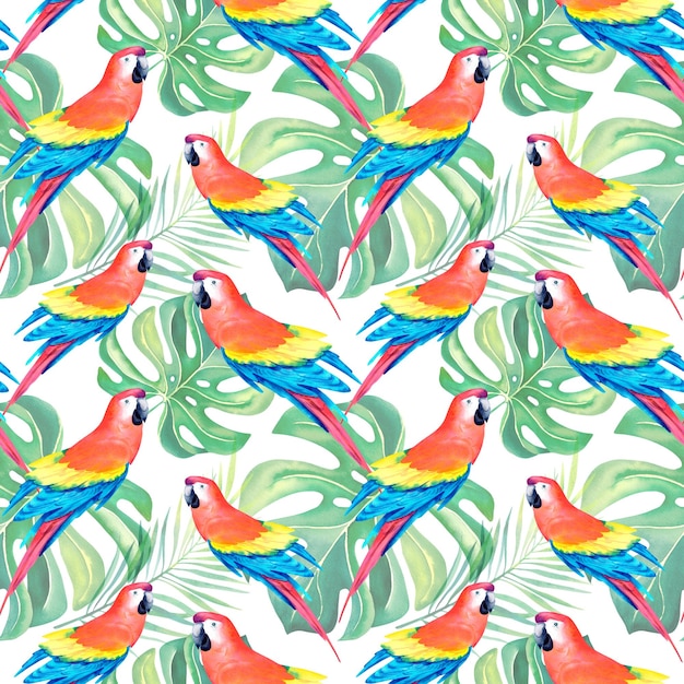 Рисунок попугаев ара монстера Тропический коллаж Акварельные животные Экзотические птицы Желтозеленый попугай ара Акварельная иллюстрация