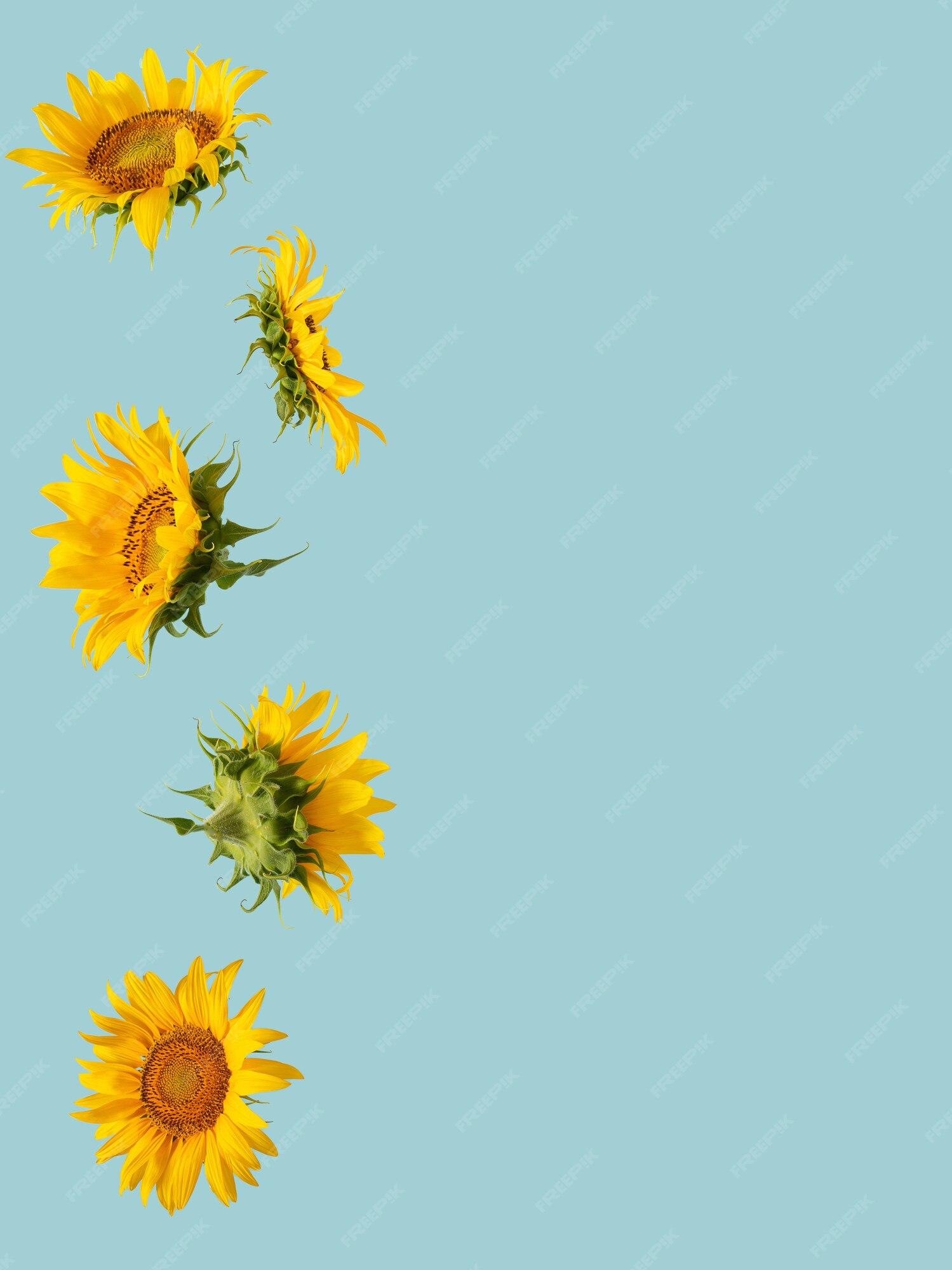 Seamless Pattern Yellow Sunflower On Beige Sun Flowers Kids Floral