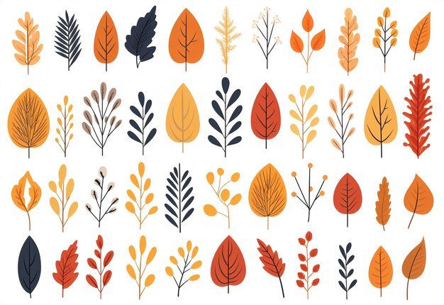 패턴 자연 세트 잎 가을 예술 배경