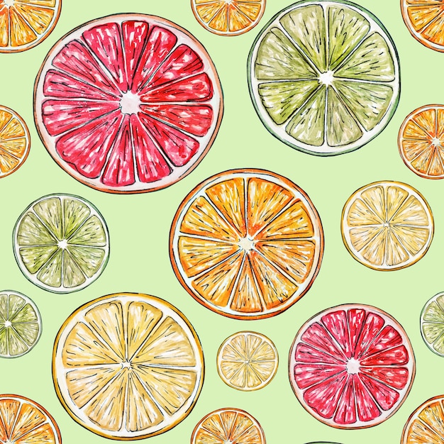 pattern of orange and grapefruit slices. Hand drawn watercolor illustrations.