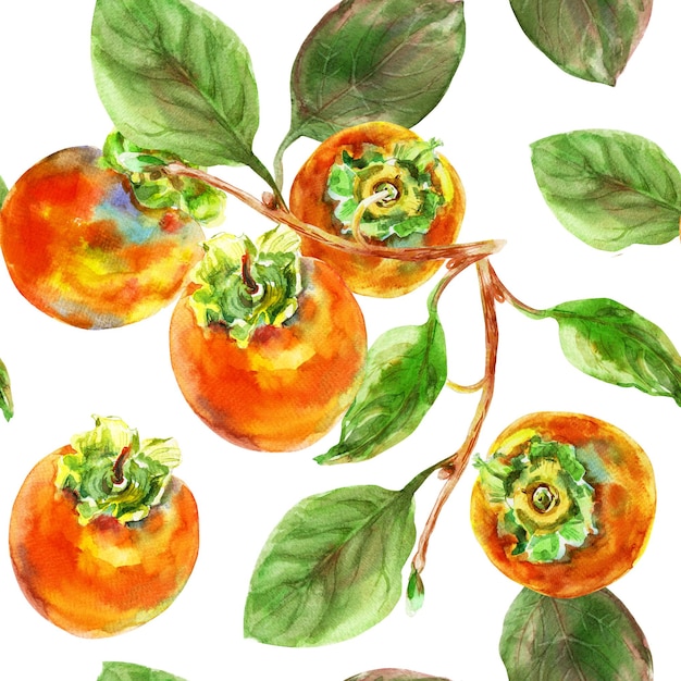 Photo pattern of persimmon orange fruit with leaves watercolor handdrawn delicious clipart illustration