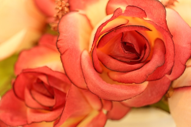 pattern petal of Artificial orange flower  in texture