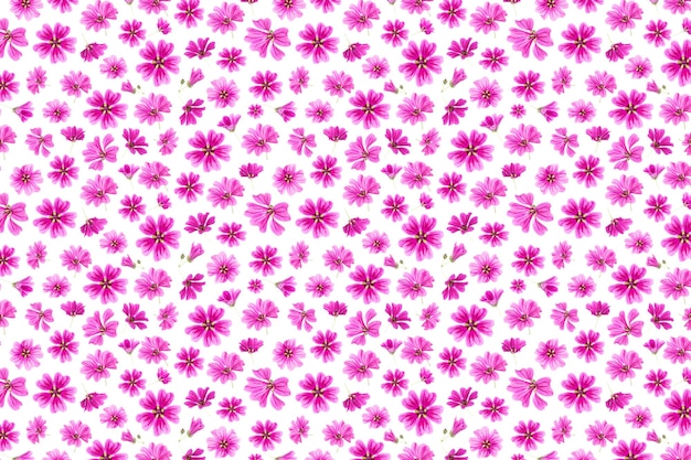 Pattern of pink flowers on a white background as a backdrop or texture Spring summer wallpaper for your design Top view Flat lay
