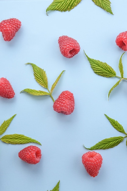 Pattern of raspberry and green leaves on blue background. flat lay summer berries - red raspberries. creative minimalism.