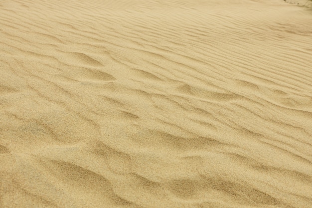 Photo the pattern of the sand