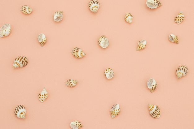 A pattern of sea shells on a peach background