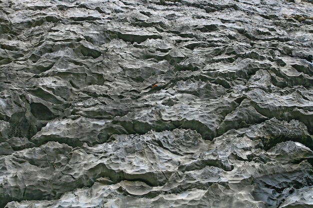 Foto modello della struttura senza cuciture della roccia e del primo piano del fondo di superficie