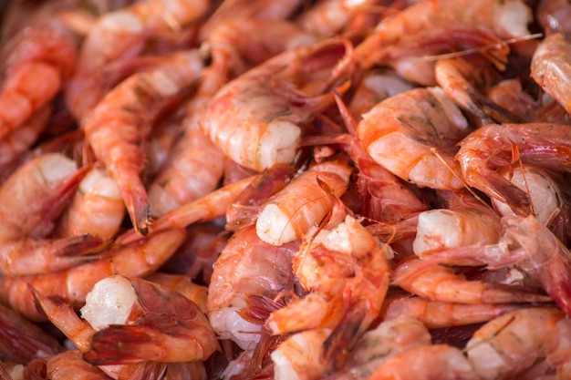 Photo pattern shrimp seafood