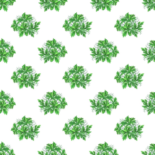 A pattern of spicy herbs drawn with colored pencils on a white background