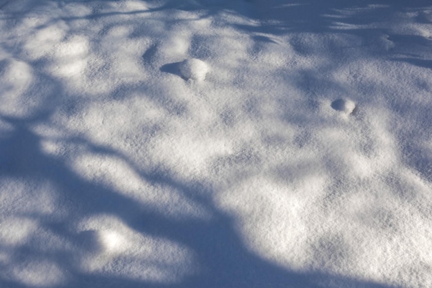 晴れた日に木々の影で降ったばかりの雪のパターンと質感