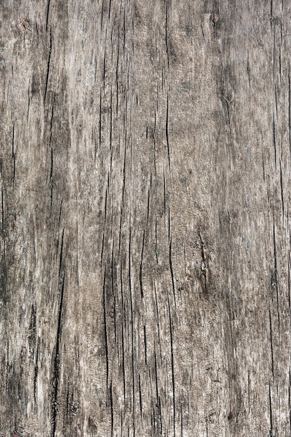 The pattern and texture of an old weathered wooden board Natural wood background