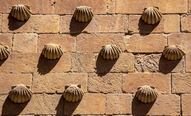 Photo pattern of three horizontal rows of granite shell moldings on the wall with long shadows