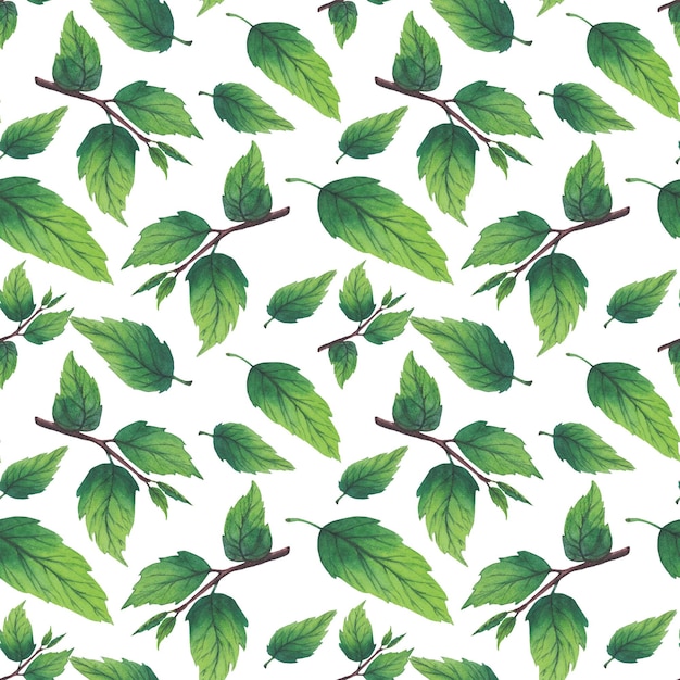 Pattern of watercolor plum tree branches with green leaves and fruits