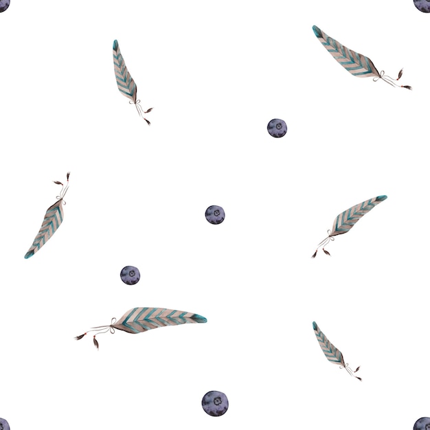 A pattern with feathers and blueberries on a white background