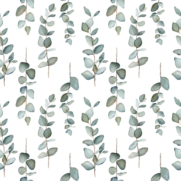 Pattern with green eucalyptus leaves Botanical natural Seamless  for textile design and other