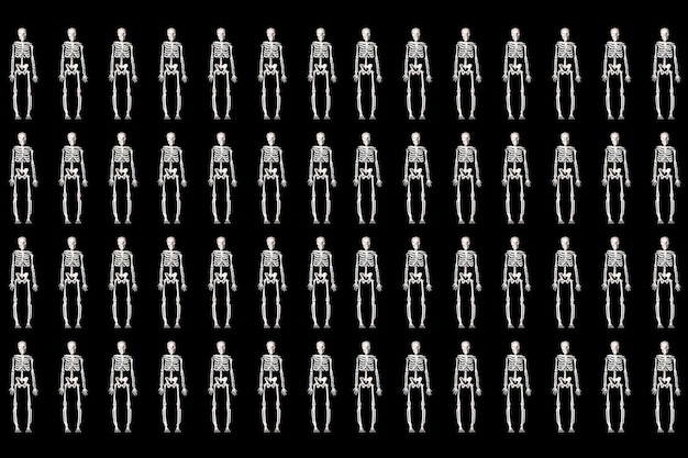 Photo pattern with a human skeleton on a black background