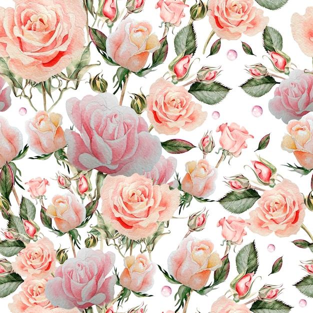 Pattern with watercolor realistic rose