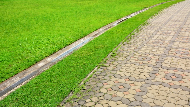 Patterned paving tiles at walkway in the park