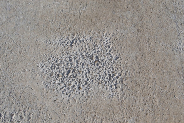 Patterns on a freshly poured concrete surface