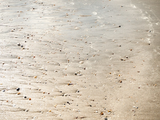 Patterns Texture of sand on the beach