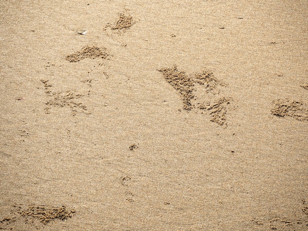 해변에서 모래의 패턴 질감